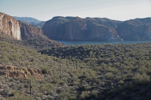 _2013_01_05_0241_edited-1