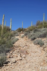 _2013_01_05_0243_edited-1