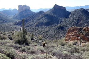 _2013_01_05_0248_edited-1