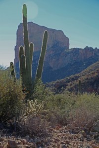 _2013_01_05_0252_edited-1