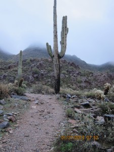 McDowell Mtn 3January 27 003_edited-1