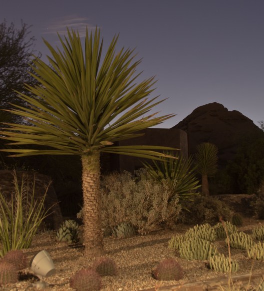 nightfall in desert1