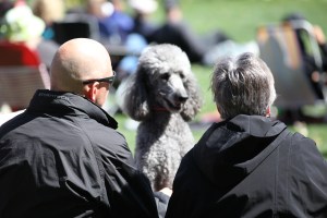 Sunday AFair 02242013_2013_02_24_0404
