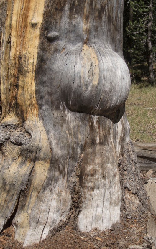 does my butt look big to you