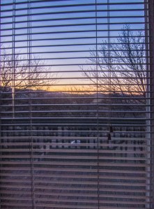 good morning sunshine Amado