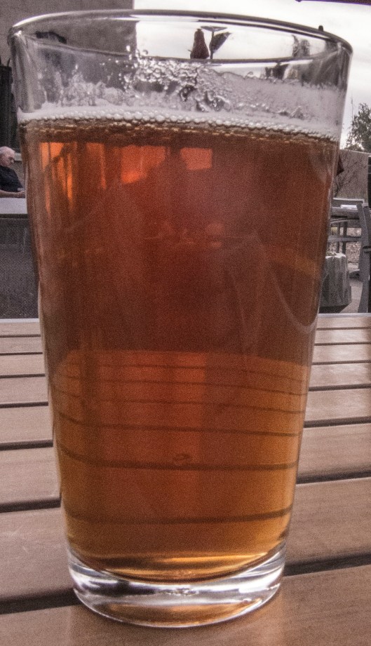 the beer in gertrudes