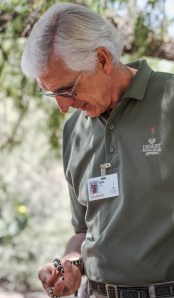 snakes in the garden