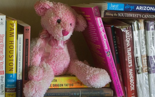 teddy and books