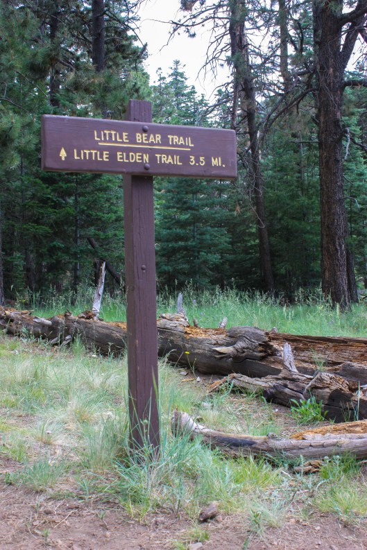 The trail markers were great!