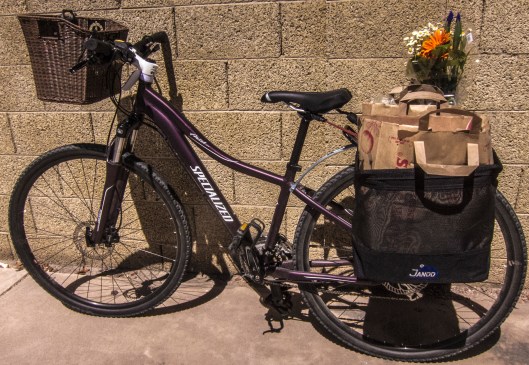 carless grocery shopping2 001