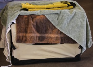 Red Tail Hawk Carrier