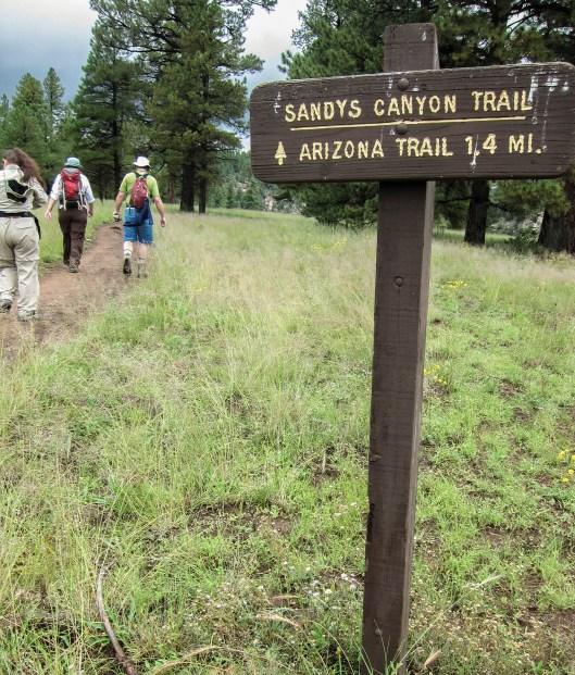sandy's canyon trail getting started