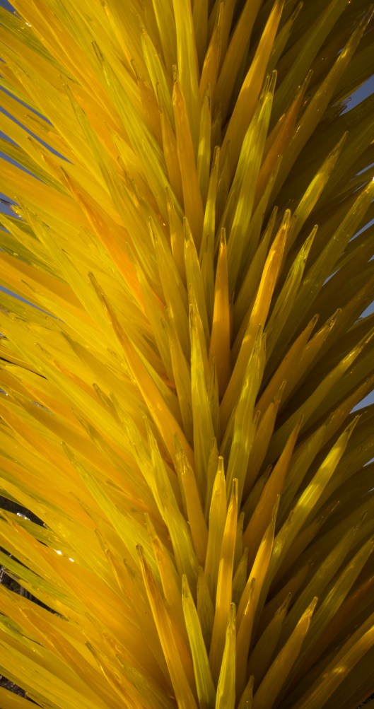 chihuly yellow glass