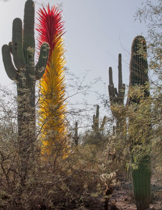 saguaro 2 chihuly