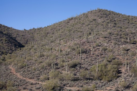 go john trail another trail