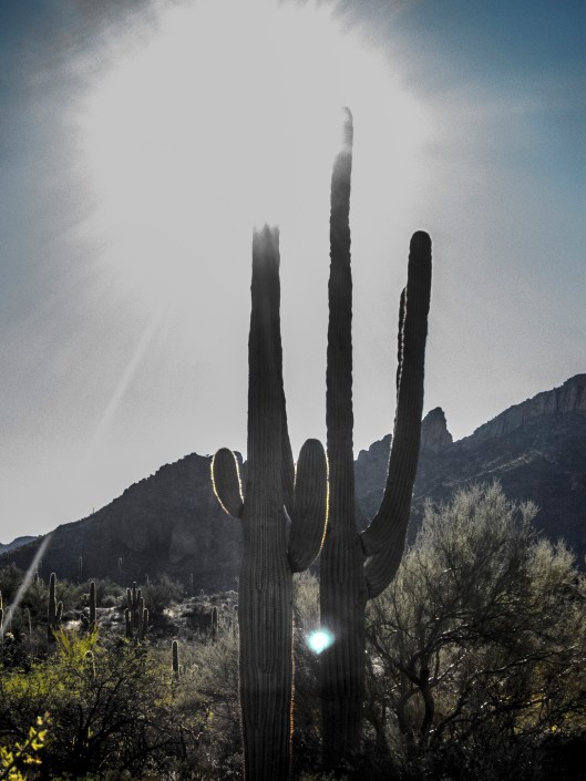 looking into the sun