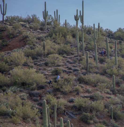 on way to skull mesa