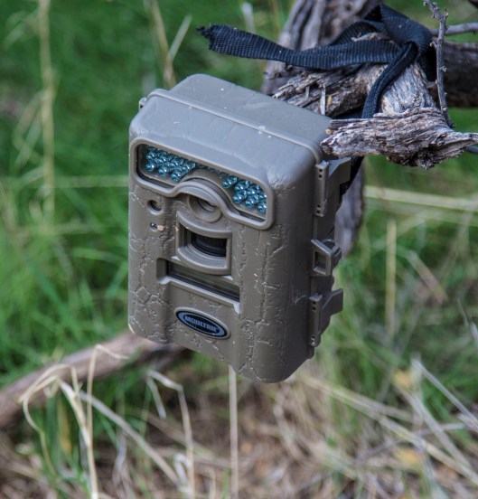 photo instrument for capturing wild animal photo