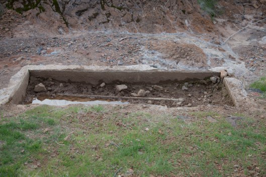 watering hole in front of camera