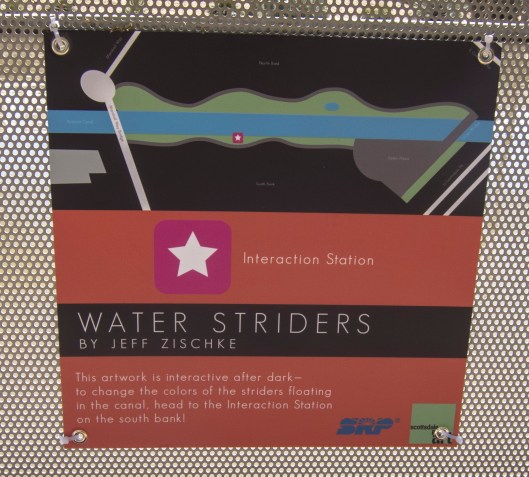 water striders canal