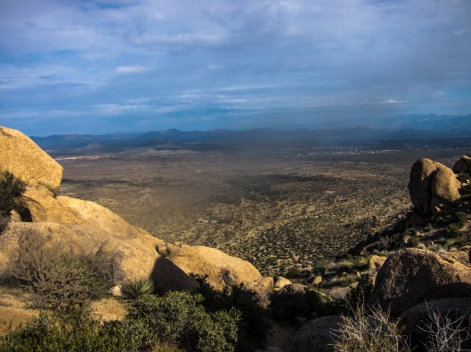 return to tom thumb 1-10