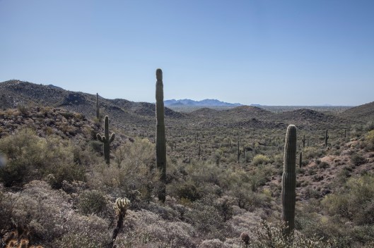 Go John Train in Reverse