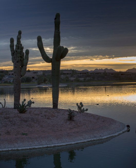fountain hills