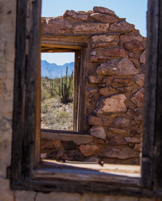 looking through window1