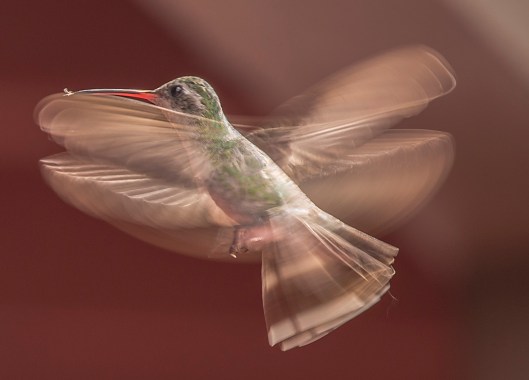 hummer slow mo hotel